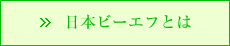 日本ビーエフとは